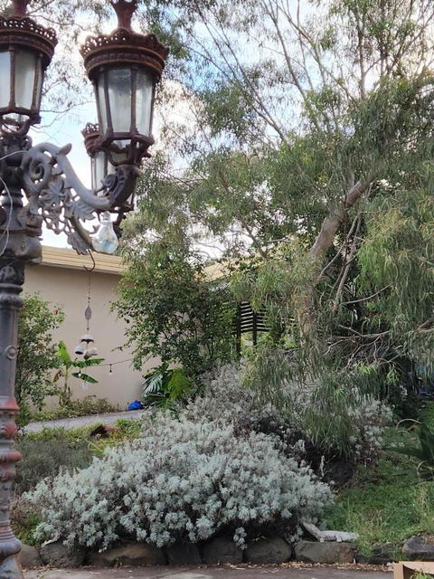 Green Heavan - Accommodation Yamba 4