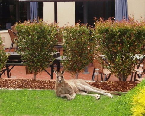 Alpha Hotel Canberra - Accommodation Yamba 1