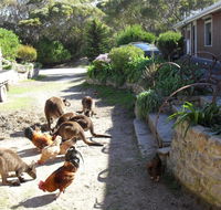 Anchorage Apartments - Accommodation Yamba