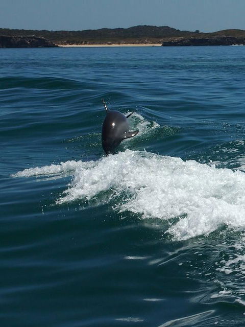 Anchorage Guest House And Self-contained Accommodation - Accommodation Yamba 1