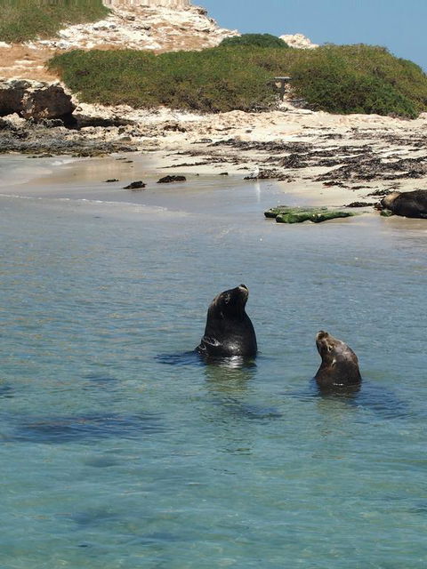 Anchorage Guest House And Self-contained Accommodation - Accommodation Yamba 3