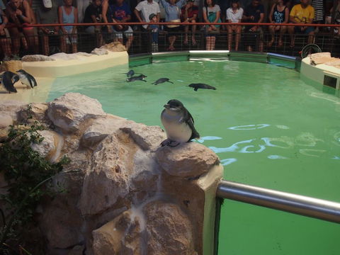 Anchorage Guest House And Self-contained Accommodation - Accommodation Yamba 2