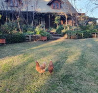 Angaston by the Winter Creek - Accommodation Yamba