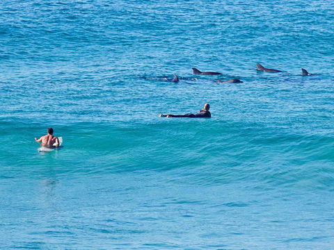 Aquarius Apartment 9 - Accommodation Yamba 1