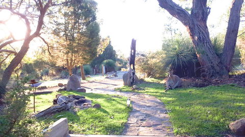 Aquila Eco Lodges - Accommodation Yamba 3