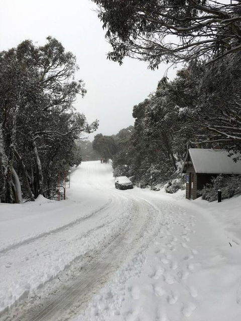 MAGNIFICENT SKIING ON MOUNT BULLER - Accommodation Yamba 3