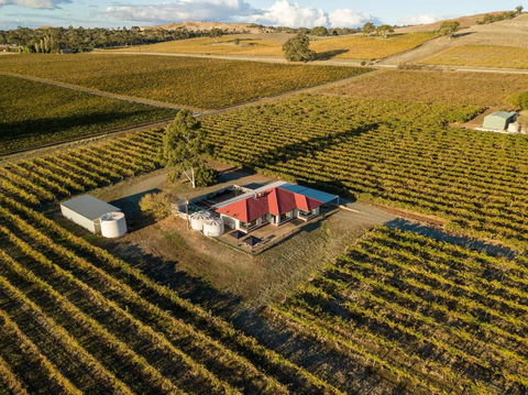 McGill Vineyard Barossa - Accommodation Yamba 0