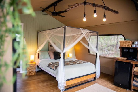 Moogie Glamp - Accommodation Yamba 1