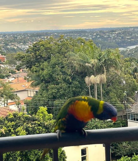 Mosman Views, 2bed, Parking, 15min Walk To Beach - Accommodation Yamba 1