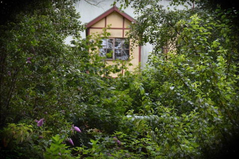 Mountain Lodge - Accommodation Yamba 2