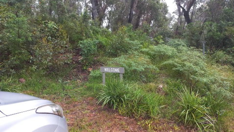 Mountain Tranquility - Accommodation Yamba 3