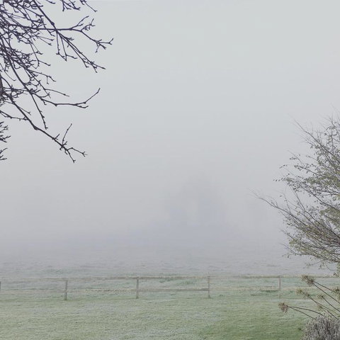 Myrtlemae Farm - Accommodation Yamba 1