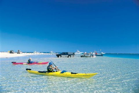Ningaloo Club Backpackers - Accommodation Yamba 2