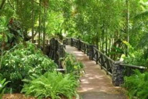 Paddington Pad With Back Deck And Free Car Space Close To Suncorp - Accommodation Yamba 2