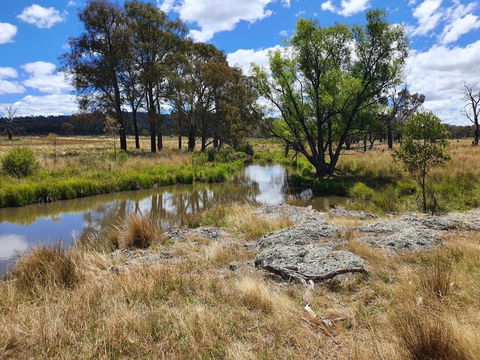 Parlour Mountain Cottage - Accommodation Yamba 1