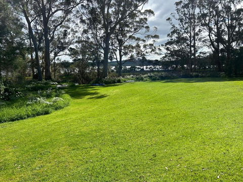 Peacock - Accommodation Yamba 0