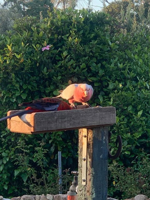 Pier 9 - Accommodation Yamba 3