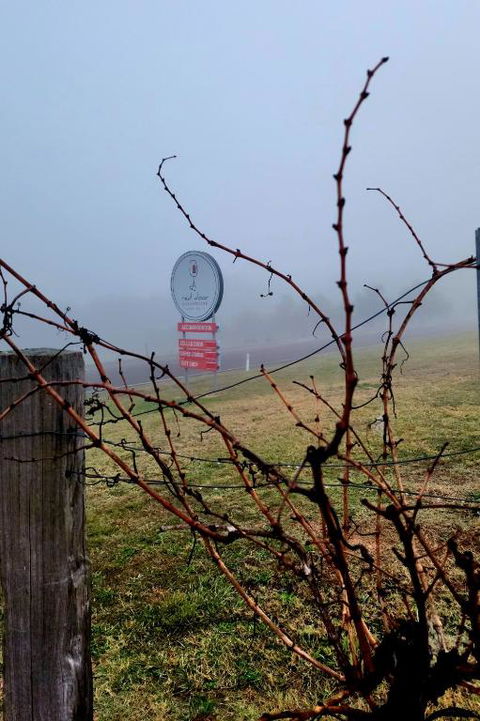 Red Door Collective - RDC Vineyard Estate, Luxury Adult Only Stay - Accommodation Yamba 3