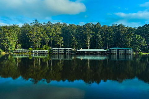 RAC Karri Valley Resort - Accommodation Yamba 2
