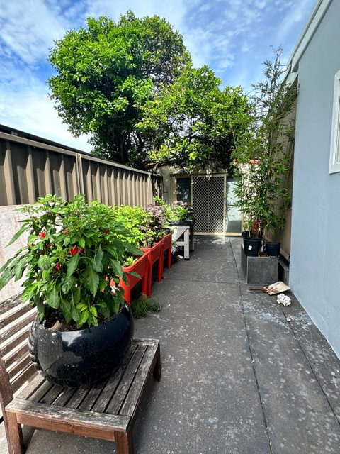 Private, Local Living Studio In Mascot, Airport - Accommodation Yamba 2