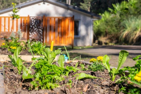 Pure Valley Estate - Accommodation Yamba 3