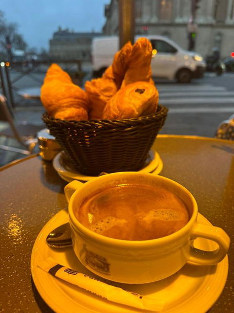 Randwick Luxury 2 Bed Apt - Accommodation Yamba 1