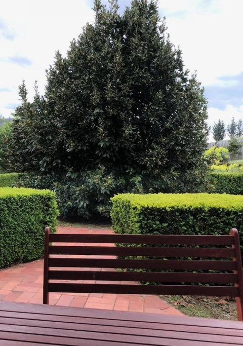 Red Brier Cottage Accommodation - Accommodation Yamba 1