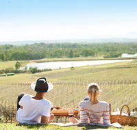 Audrey Wilkinson Vineyard - Accommodation Yamba
