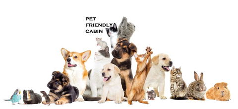 Australian Motor Homes Tourist Park - Accommodation Yamba 1