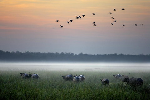 Bamurru Plains - Accommodation Yamba 0
