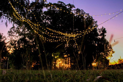 Banyan Tree - Accommodation Yamba 0