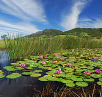 Barrington Hideaway- River Cottages - Accommodation Yamba