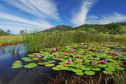 Barrington Hideaway- River Cottages - Accommodation Yamba 0