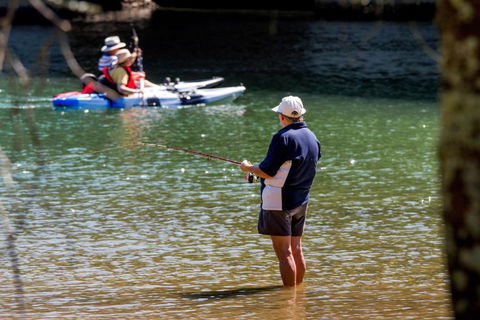 Reflections Ferry Reserve - Holiday Park - Accommodation Yamba 0
