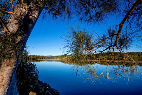 Reflections Ferry Reserve - Holiday Park - Accommodation Yamba 2