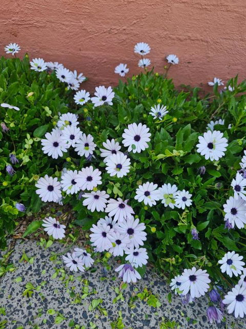 Reverie - Accommodation Yamba 2