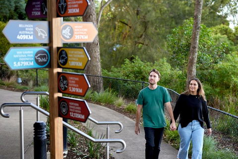 Roar And Snore - Accommodation Yamba 2