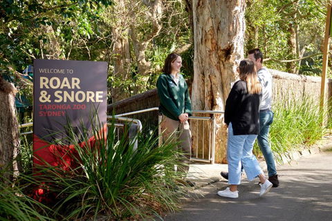 Roar And Snore - Accommodation Yamba 1