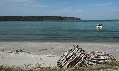 Rock Lobster - Accommodation Yamba 2