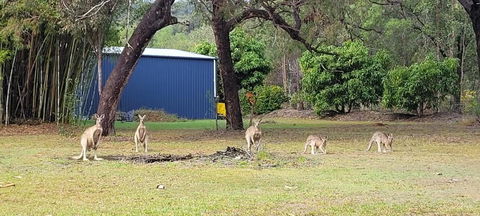 Roo Or 2 On Streeter - Accommodation Yamba 0