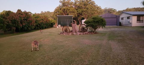 Roo Or 2 On Streeter - Accommodation Yamba 2