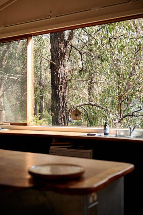 Rustic Treehouse - Aireys Inlet - Accommodation Yamba 1