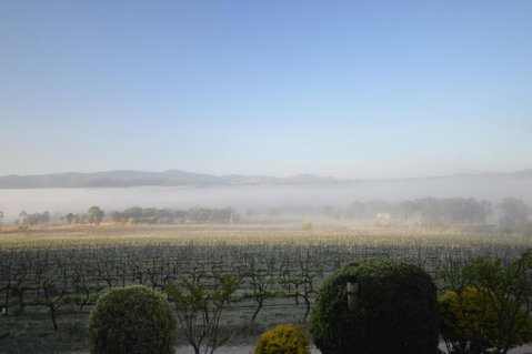 Sancerre Estate - Accommodation Yamba 3