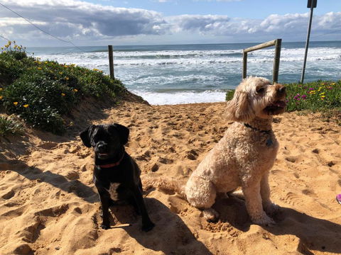 Sanctuary Retreat - Accommodation Yamba 2