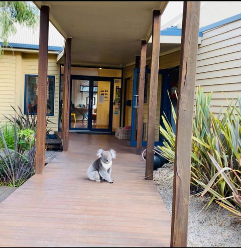 Sandpiper Motel Apollo Bay - Accommodation Yamba 3