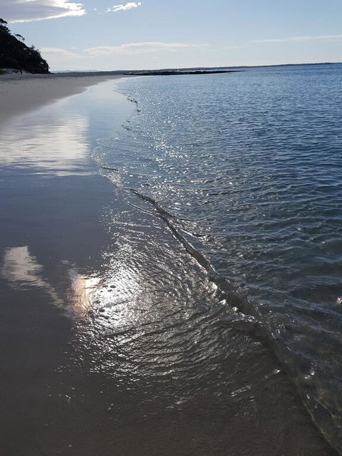 Beachside Husky - Waterfront - Accommodation Yamba 3