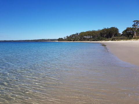 Beachside Husky - Waterfront - Accommodation Yamba 1