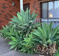 Beautiful Bedroom in Bentleigh East - Accommodation Yamba