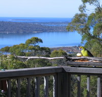 Bed in the Treetops BB - Accommodation Yamba