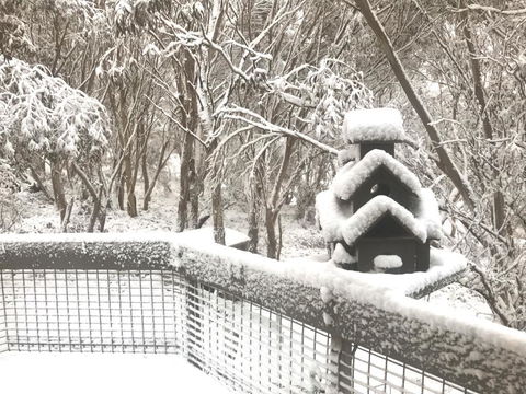 Belltrees - Accommodation Yamba 1